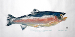 Gyotaku the Japanese art of fish printing