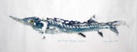 Gyotaku the Japanese art of fish printing