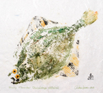 Gyotaku the Japanese art of fish printing