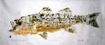 Gyotaku the Japanese art of fish printing