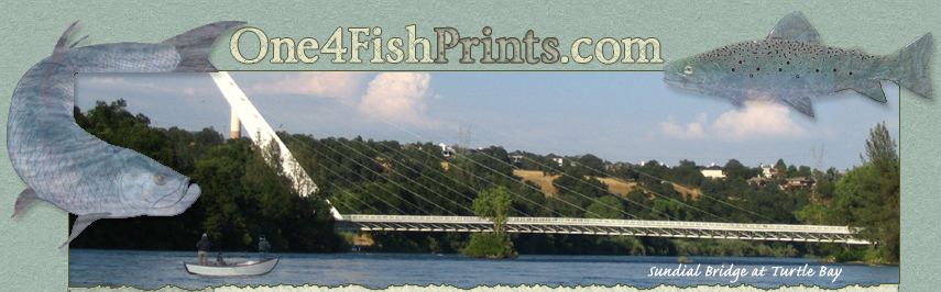 Gyotaku | Japanese Art of Fish Printing